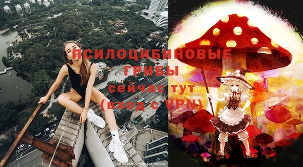 прущий лед Богородск